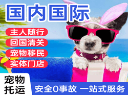 白山机场物流国际宠物托运 【国